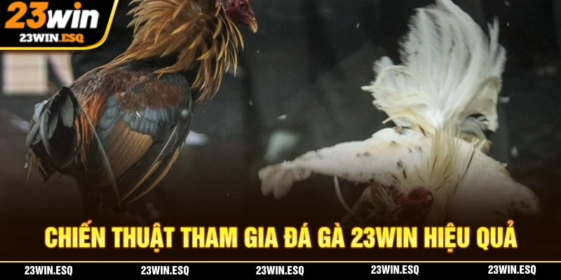 Đá Gà 23WIN – Sân Chơi Hội Tụ Những Chiến Kê Đỉnh Cao Nhất 3 Chiến thuật để người chơi than giam gia đá gà 23WIN kiếm tiền dễ dàng