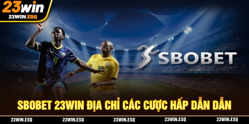 SBOBET 23WIN - Sảnh Cược Thể Thao Với Chất Lượng Quốc Tế 1 SBOBET 23WIN là địa chỉ cá cược thể thao đầy hấp dẫn
